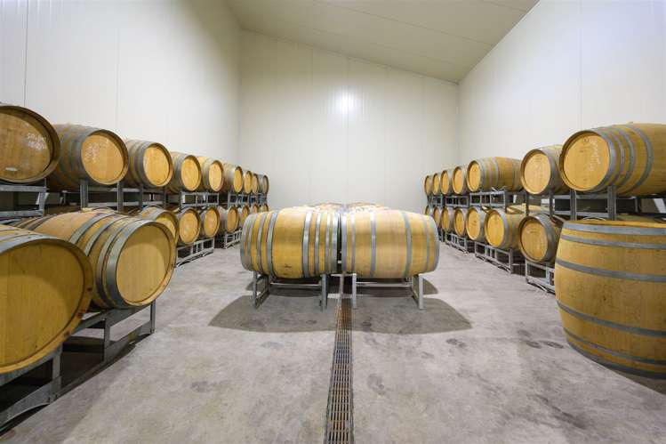 546 Main Road Hope Hope_13