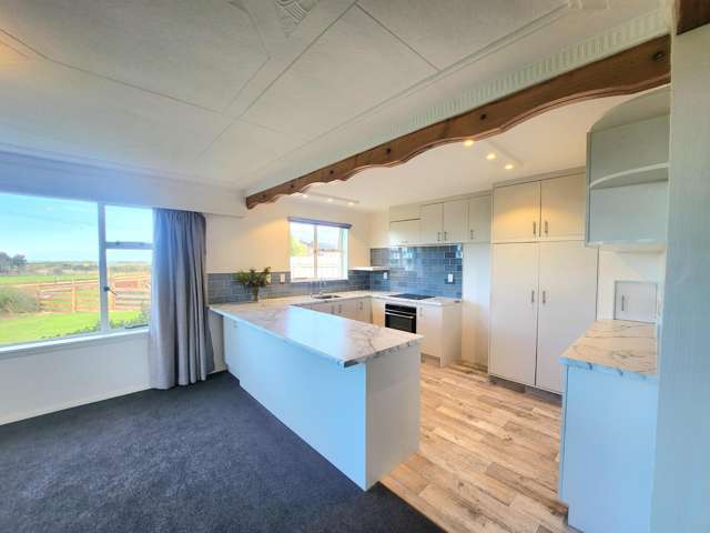 27 Newcastle Street Hampden_3