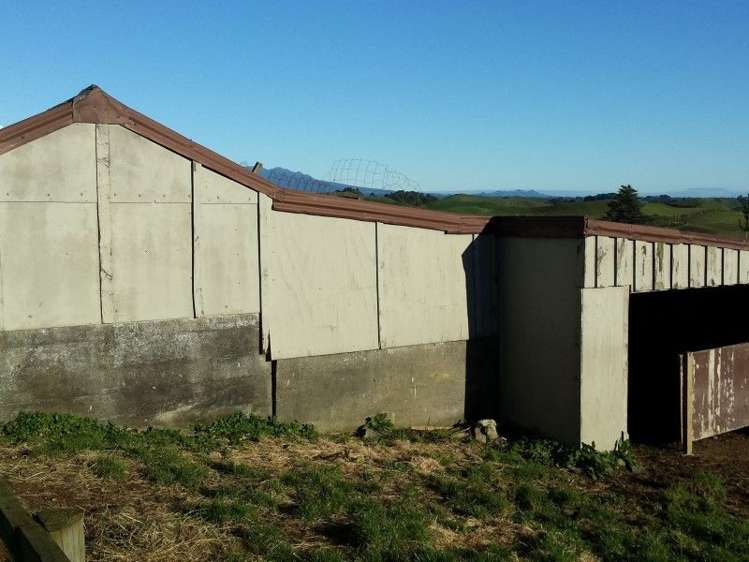 103 Kupara Road Ratapiko_17