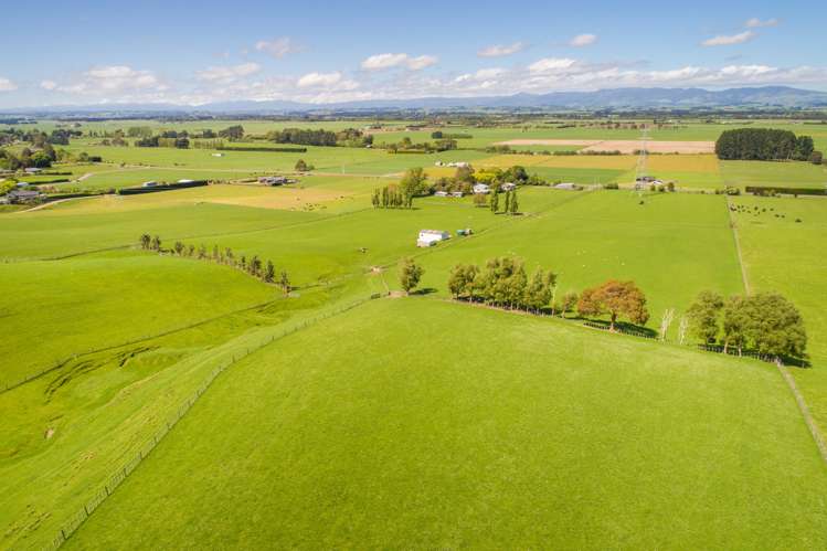 465 Makino Road Feilding_12