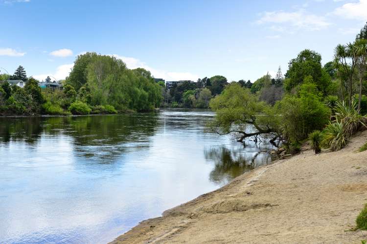 18 Galway Avenue Hamilton East_22