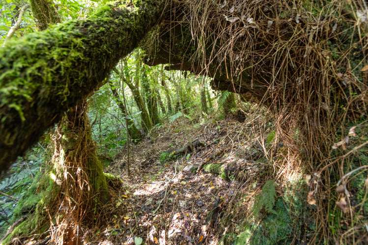 1581 Carrington Road Hurworth_17