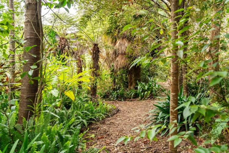 85 Old Waipu Road Mangawhai_37