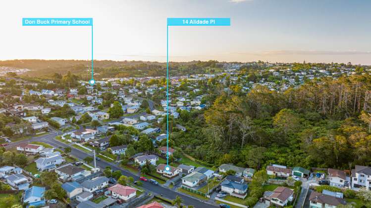 14 Alidade Place Massey_20