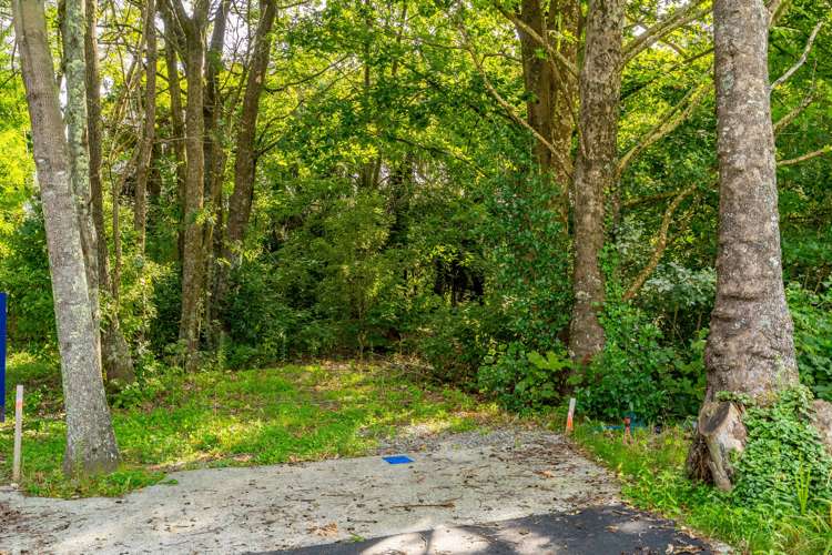 16 Woodlands Way Greytown_5