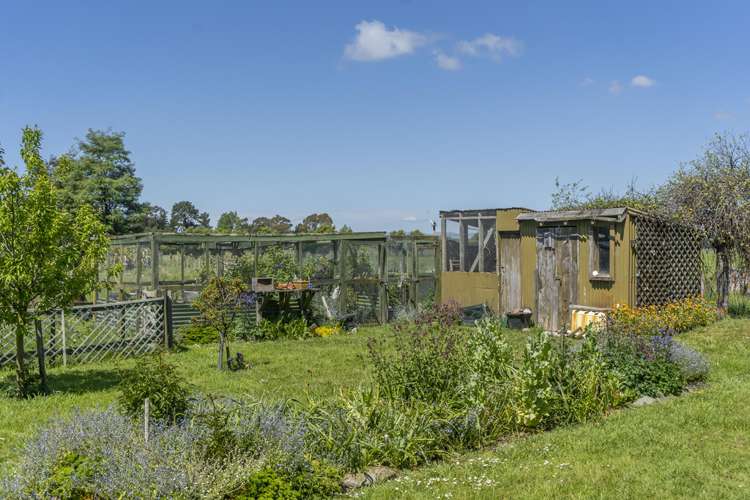 49 Loop Line Opaki_24