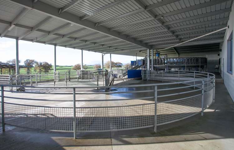 19/198 Hangawera Road Morrinsville_7