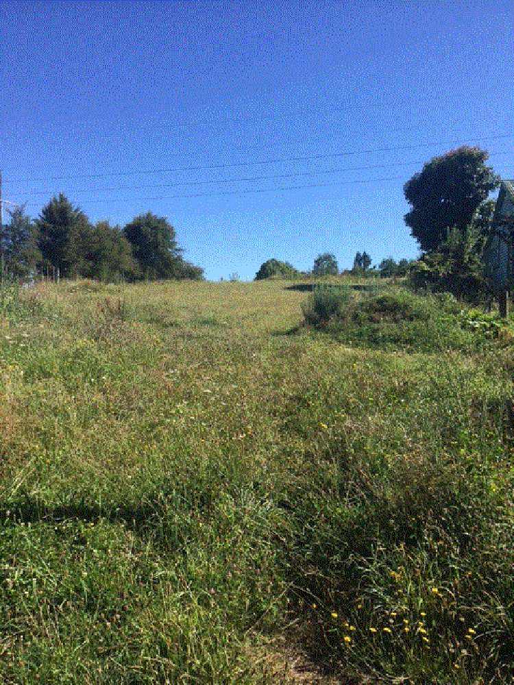 Arapuni Road Arapuni_7