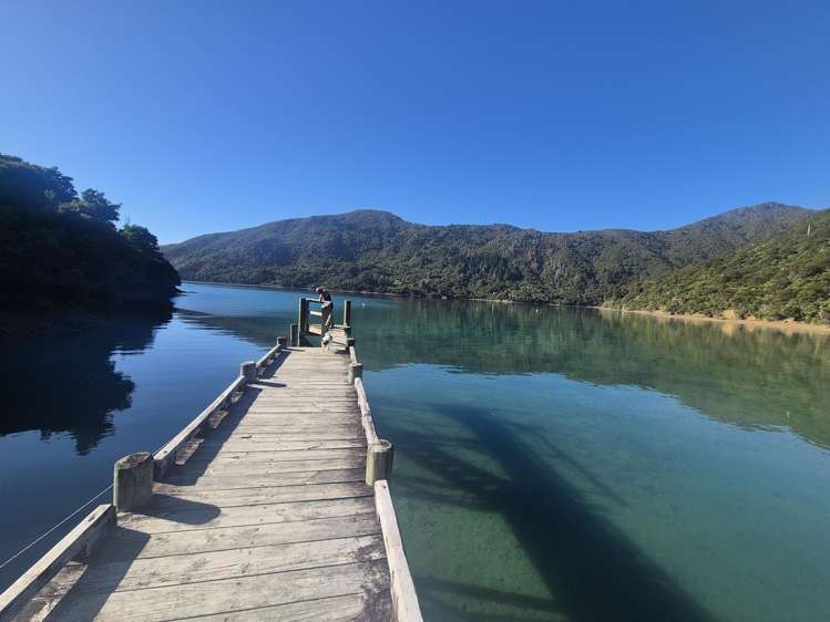 448 Tamuakawawe Bay Marlborough Sounds_7