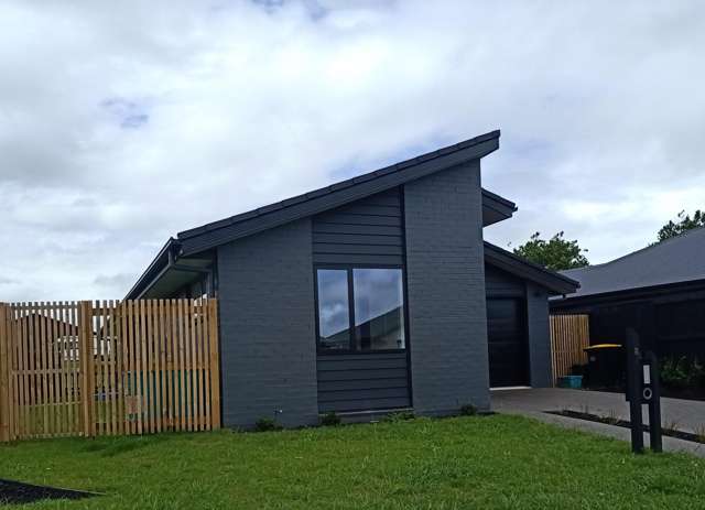 8 Morrin street Morrinsville_1