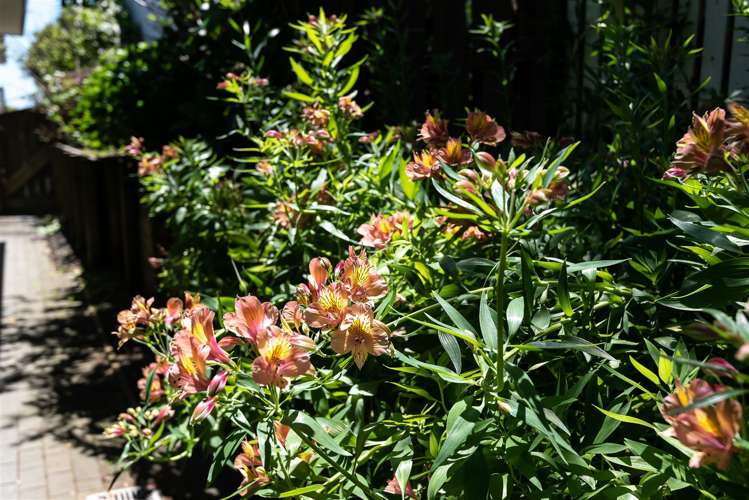 2/130 Sandspit Road Cockle Bay_13