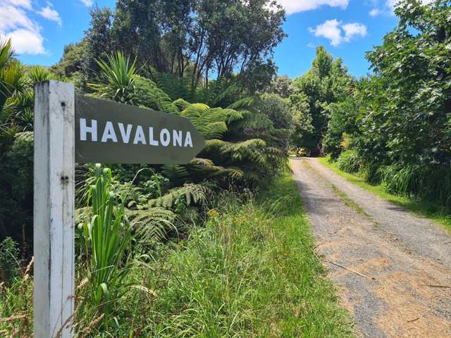 Site 3/180 Driving Creek Road Coromandel_1