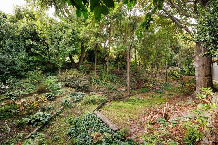 221b Victoria Avenue Hokowhitu_32