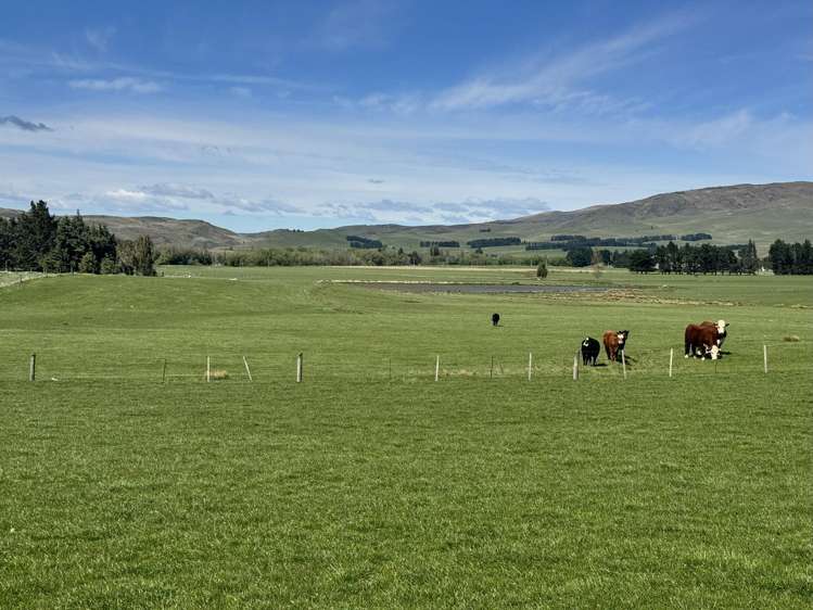 387 Kyeburn-Hyde Road Kyeburn_8