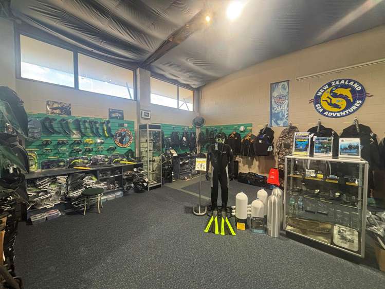 9 Marina View Paremata_3