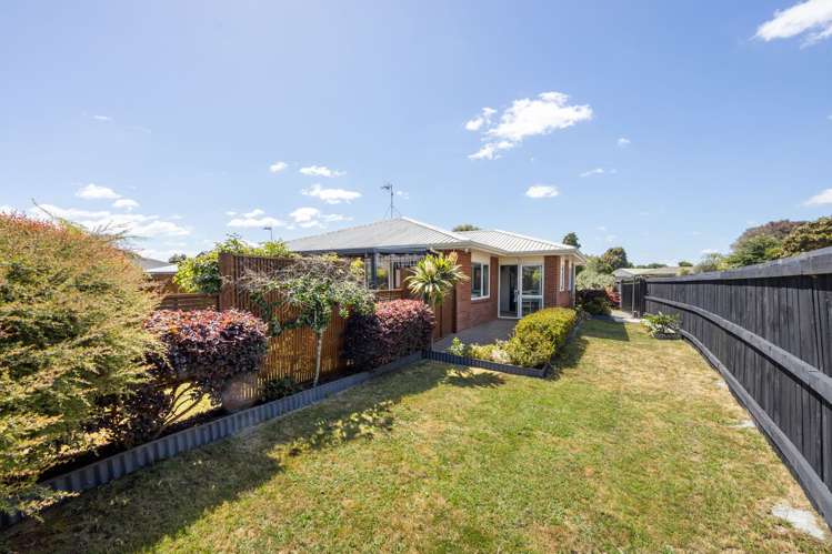 50 Catalina Drive Melville_21