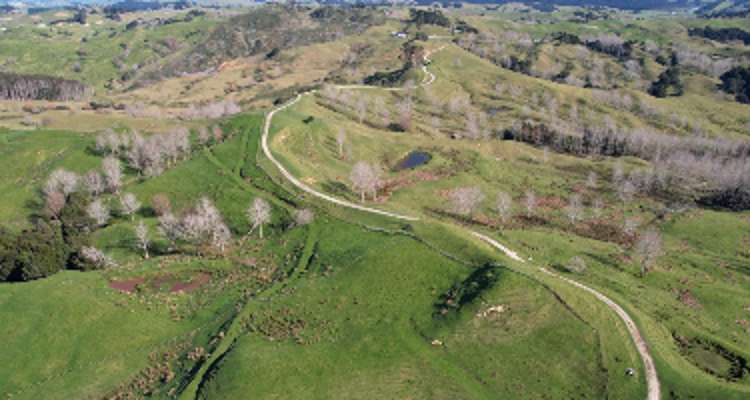 1493 Pukehuia Road_0