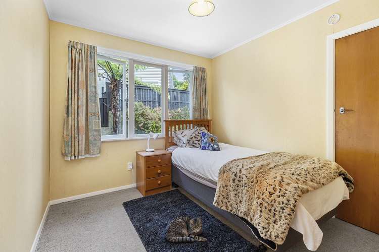 14 Norwich Street Wadestown_13