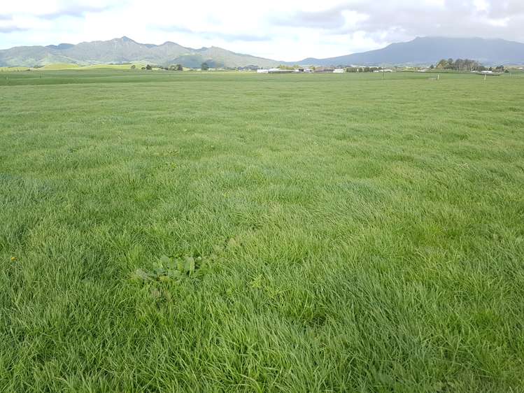 6 Perth Road Okato_13