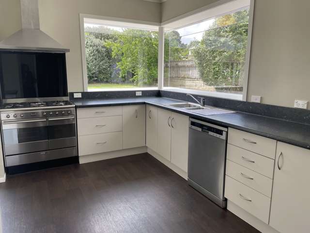 45 Union Street Waihi_1