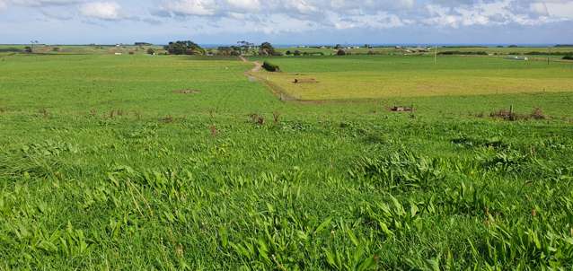 190 Inaha Road Manaia_2