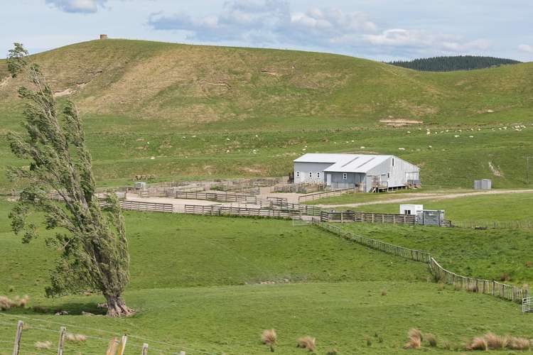 300 Pattison Road Waipukurau_4