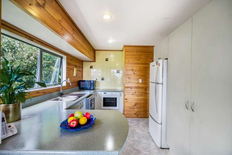 8 Greenview Lane Red Beach_19