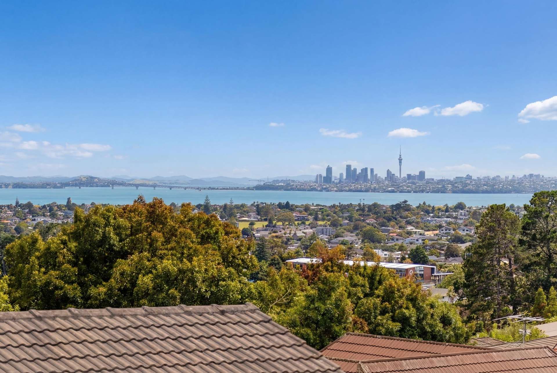 207 Royal Road Massey_0