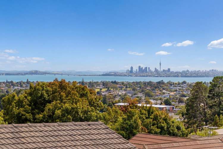 207 Royal Road Massey_1