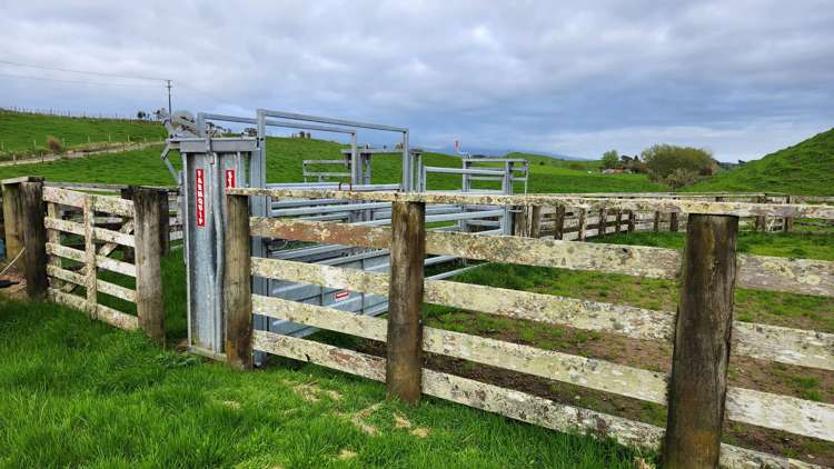 794 Tariki Road Ratapiko_8