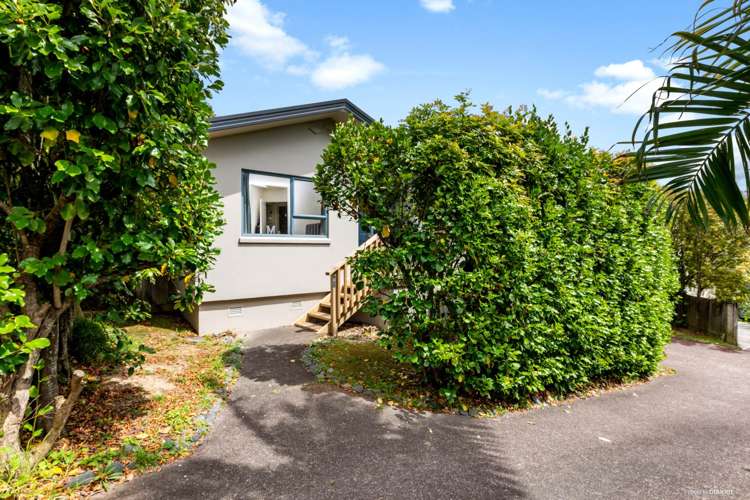 120b Triangle Road Massey_12