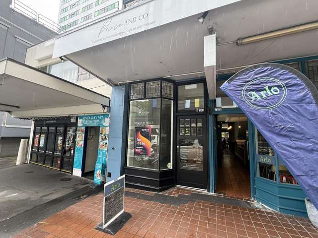 149 Willis Street Wellington Central_2