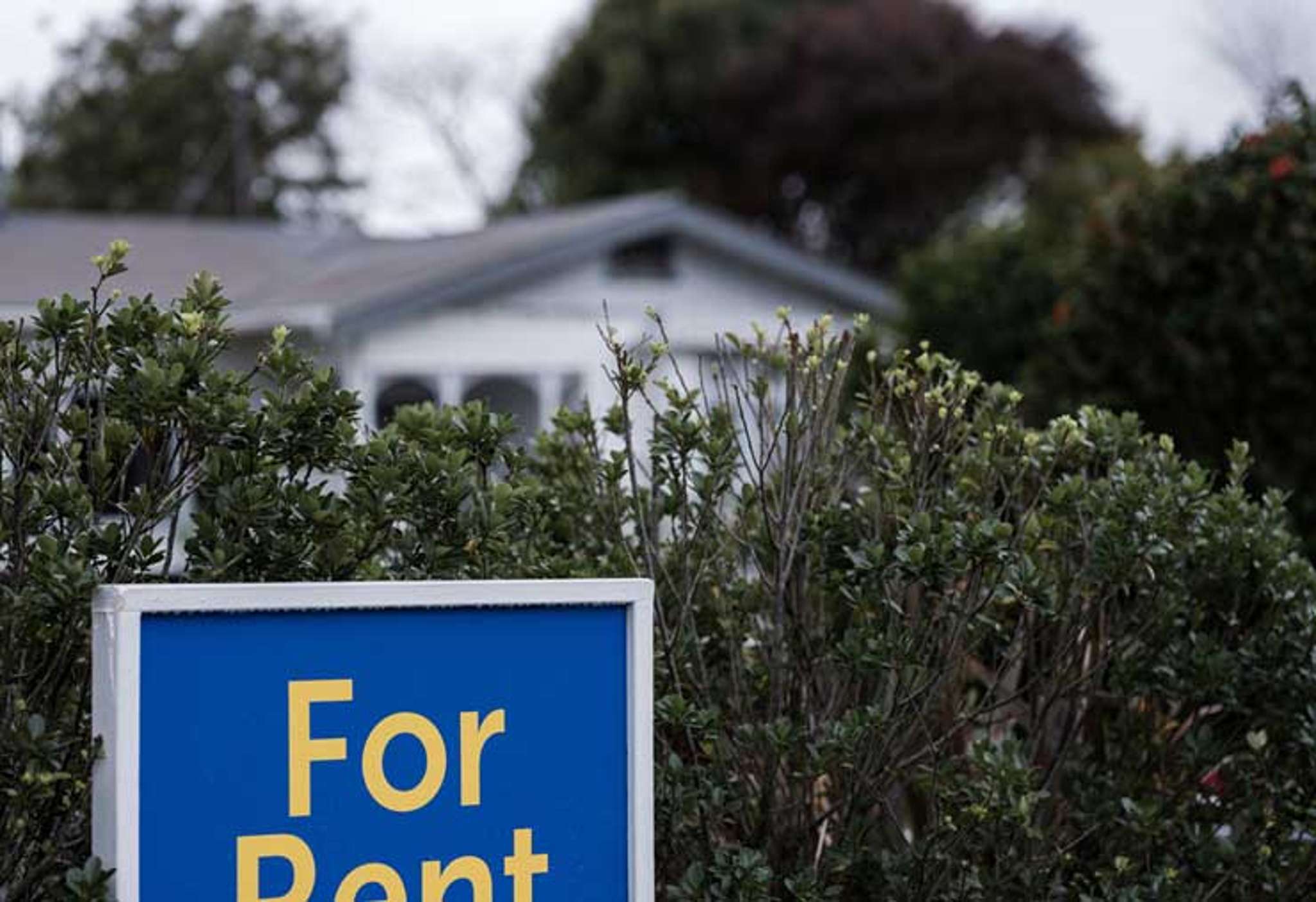 Rental crisis: Poorest getting squeezed the hardest