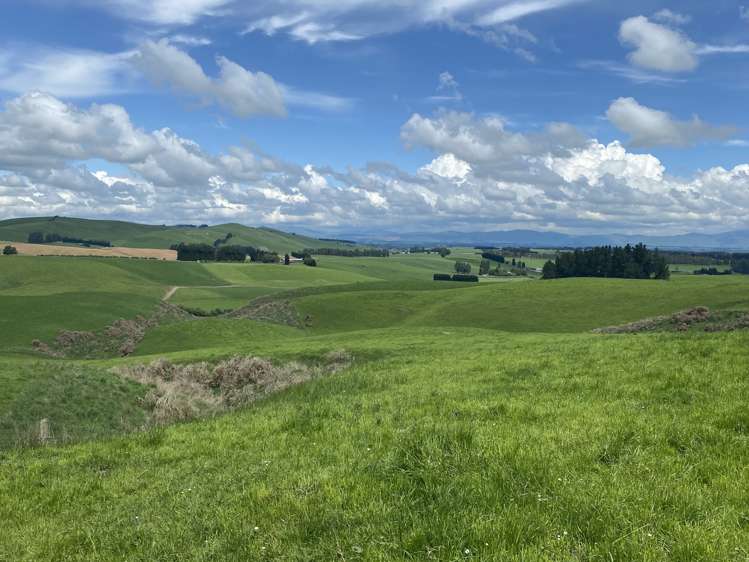 322 Wendon Creek Road Gore Surrounds_8