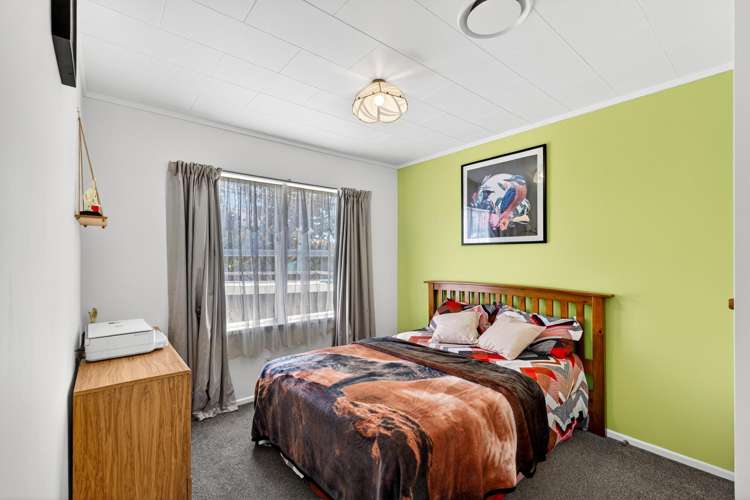 20 Norfolk Street Tamatea_8