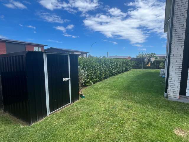 94 Banks Street Marfell_4