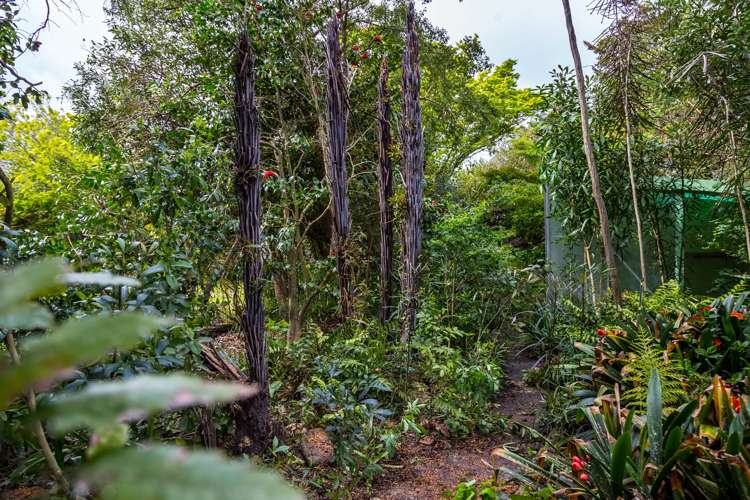 15 Coddington Crescent Masterton_24