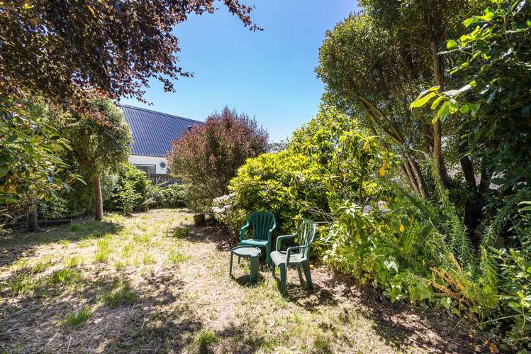 709 Highgate Maori Hill_18