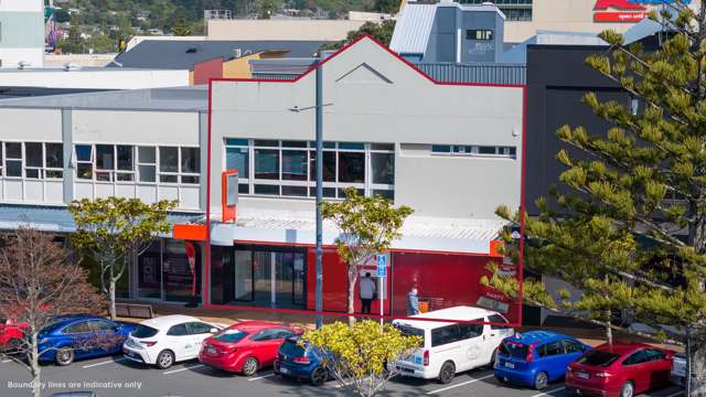 Porirua Commercial - Must be Sold!