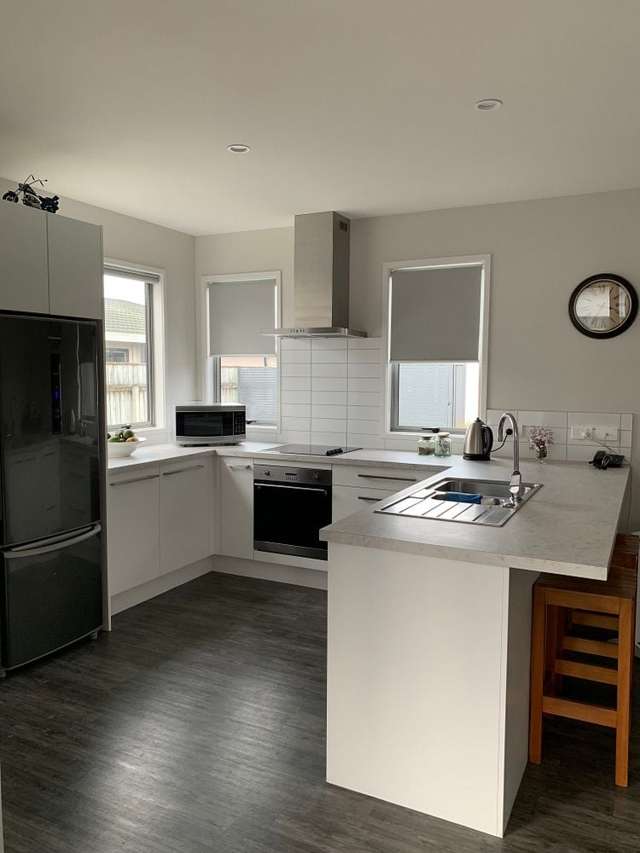 22A Waterhouse Street Taradale_2