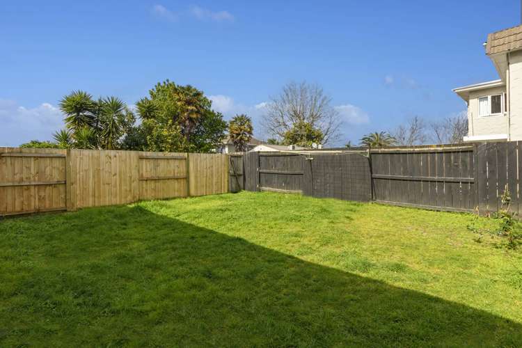 164b Dp Fifteenth Avenue Tauranga South_8