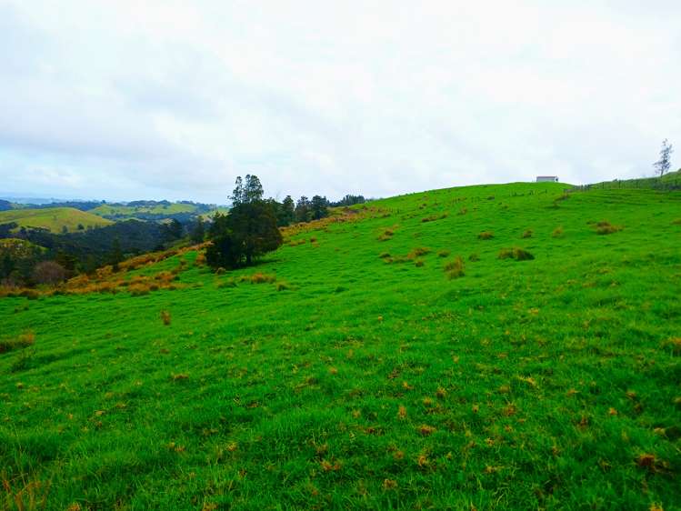 Lot 1 & 3 Fisher-Riley Road Kaitaia_14