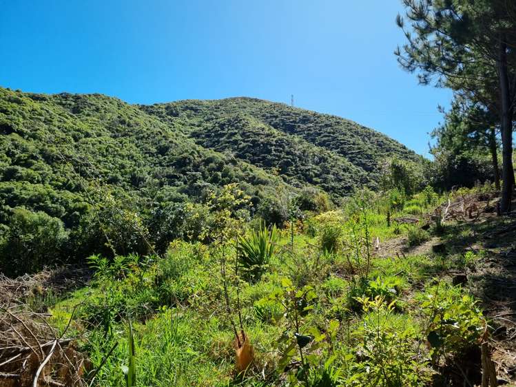 238 Stratton Street Normandale_9