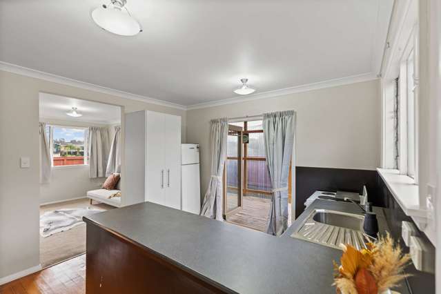 66 Salisbury Street Ashhurst_4