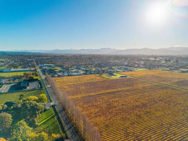 11 Whareatea Road Redwoodtown_4