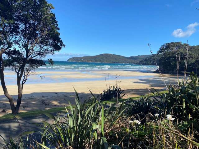 160 Shoal Bay Road Great Barrier Island_2