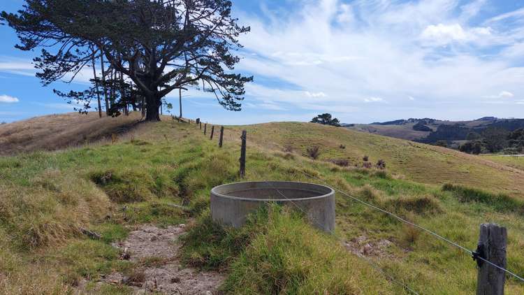 Wearmouth Road Paparoa_8