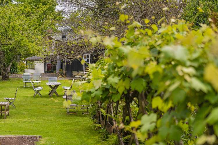 895 Tairua Whitianga Road, SH25 Whenuakite_38