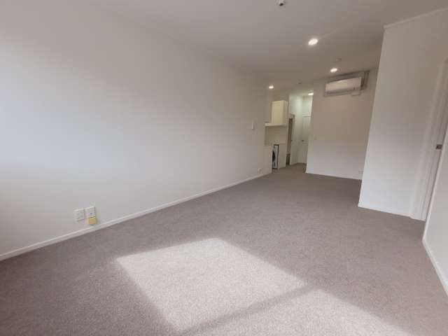 12 Nikau Street Eden Terrace_1