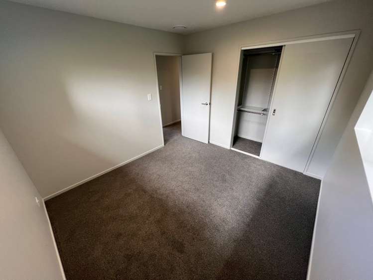 17a Knox Road Swanson_25